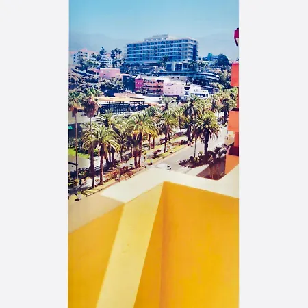 Materdei Edificio Palmeras Playa
